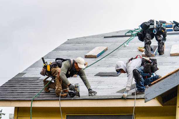 Professional Gutter Installation technician working in Earling, IA